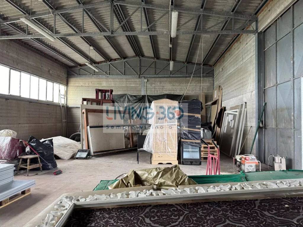 immagine annuncio 3 di 6