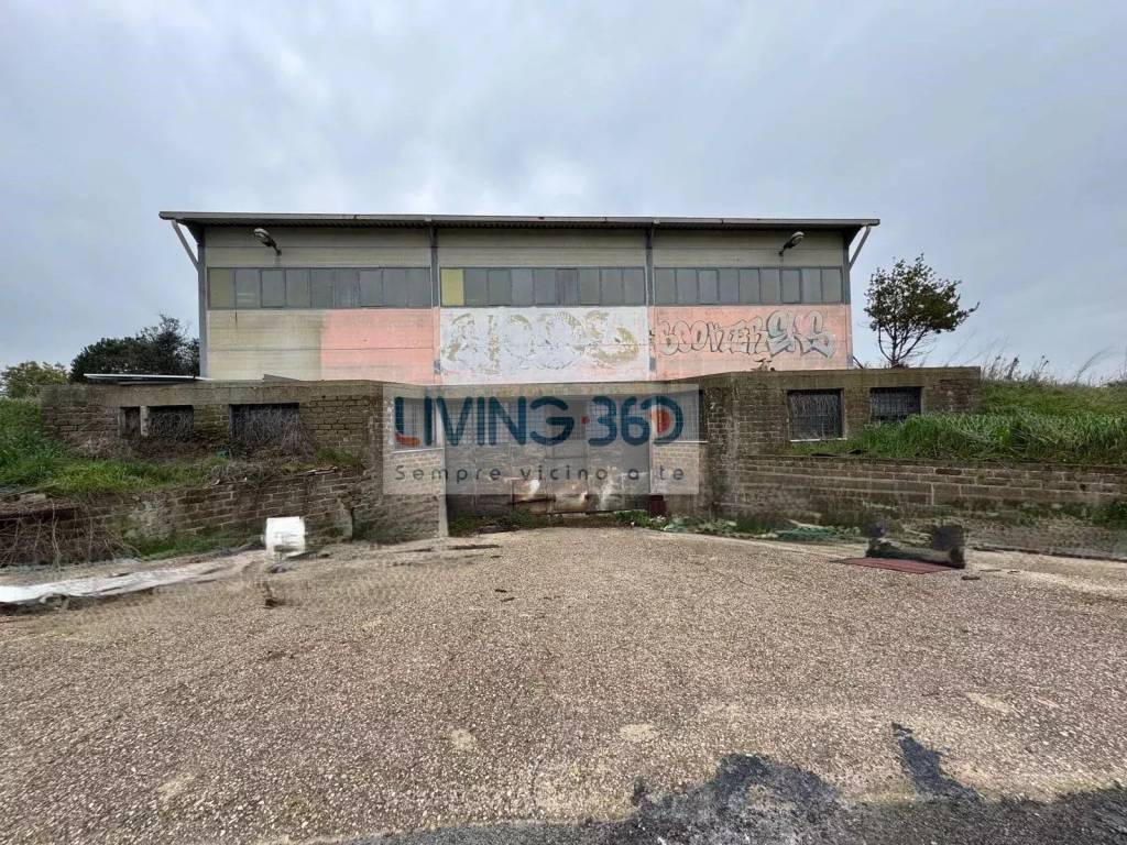 immagine annuncio 4 di 6