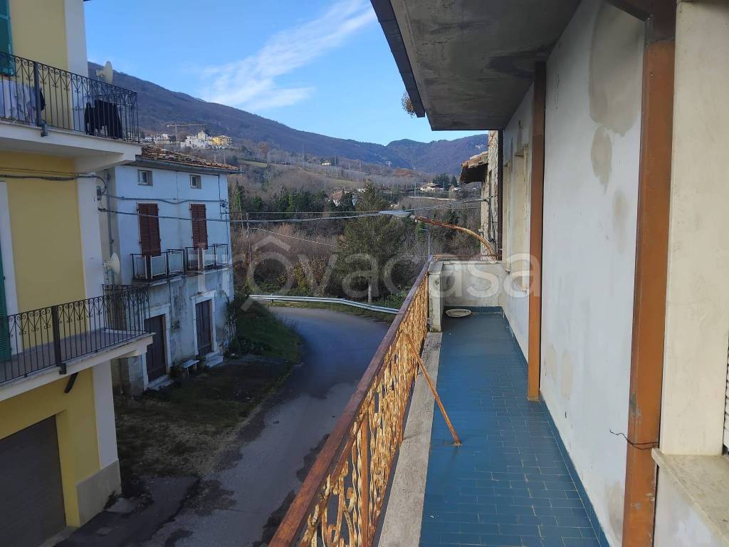 immagine annuncio 12 di 13