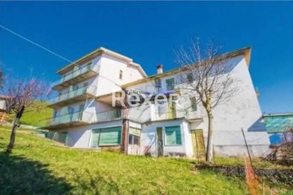 immagine annuncio 3 di 7