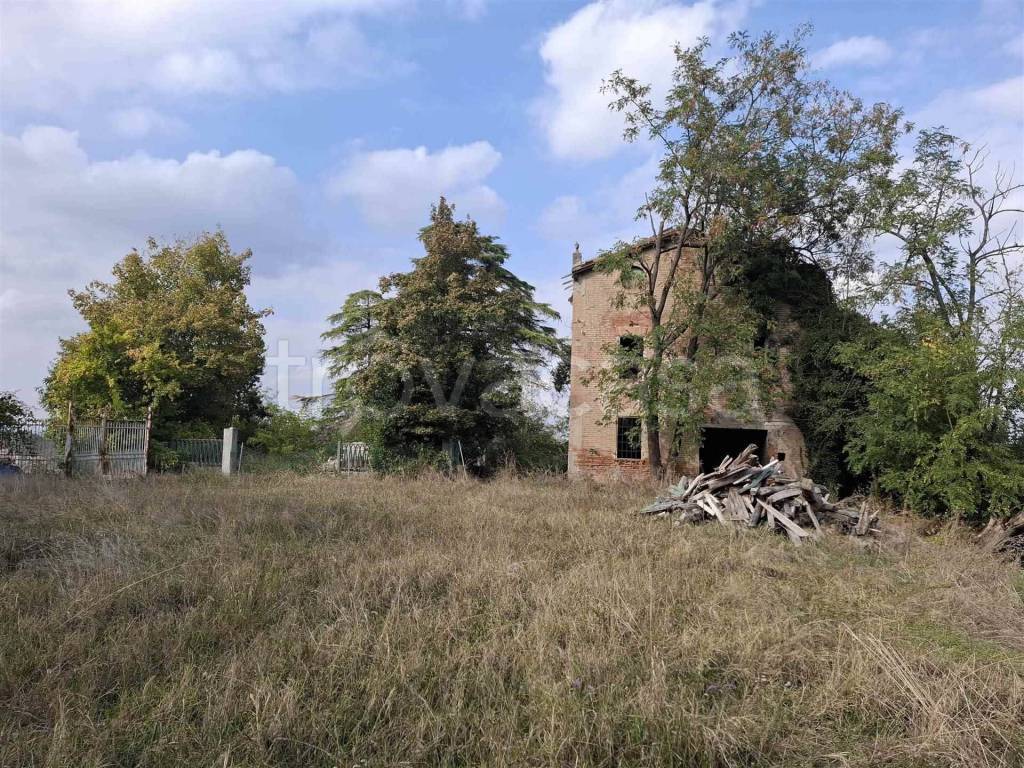 immagine annuncio 3 di 7