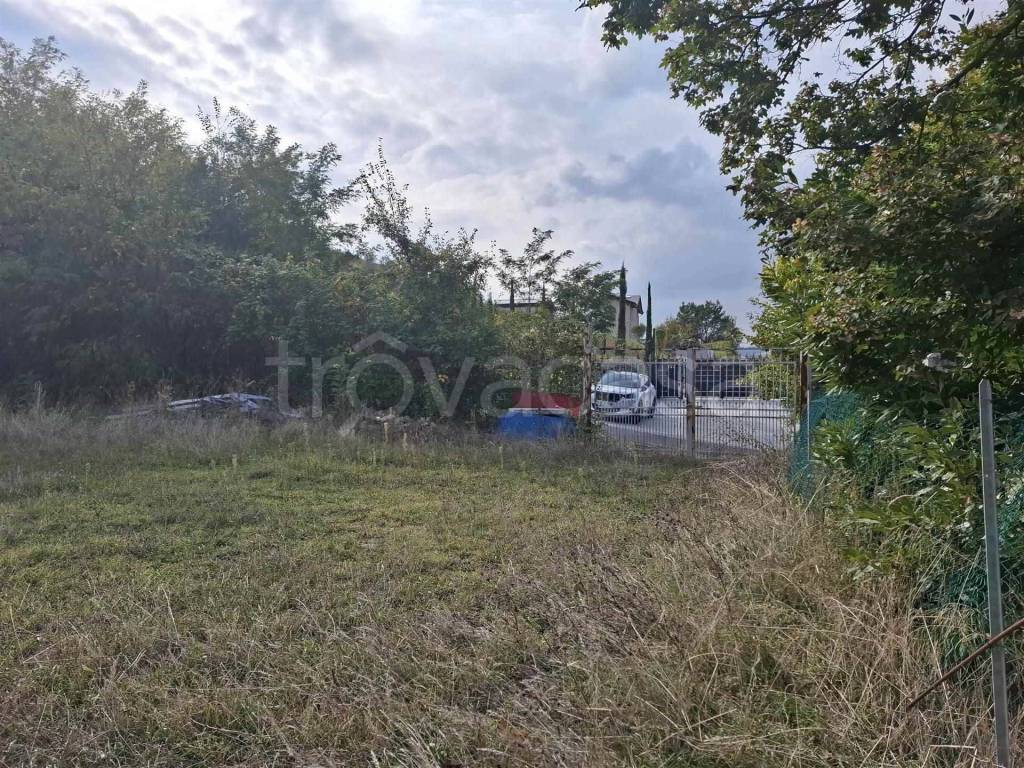 immagine annuncio 5 di 7