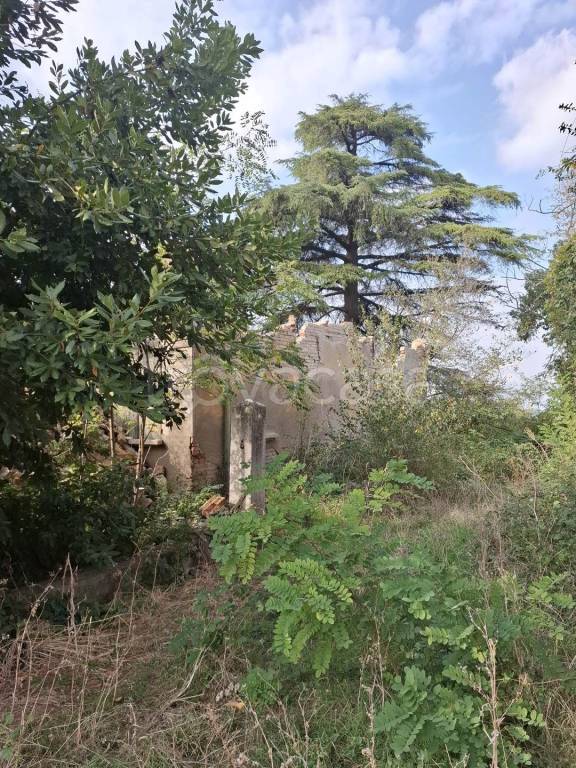 immagine annuncio 6 di 7