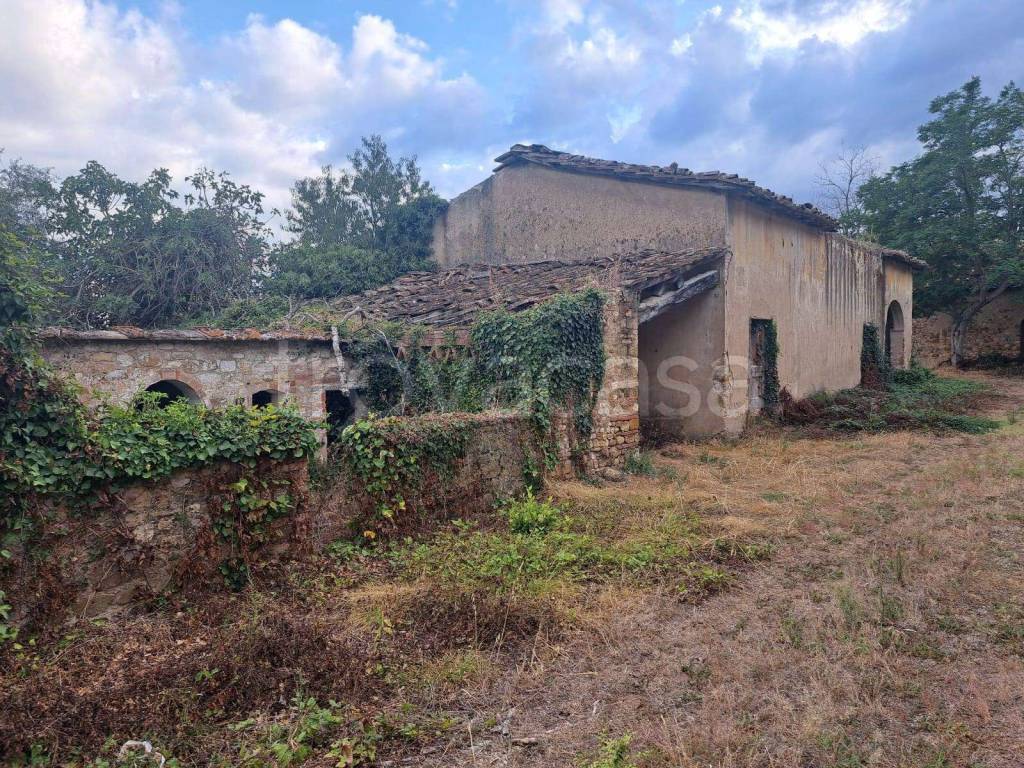 immagine annuncio 3 di 6