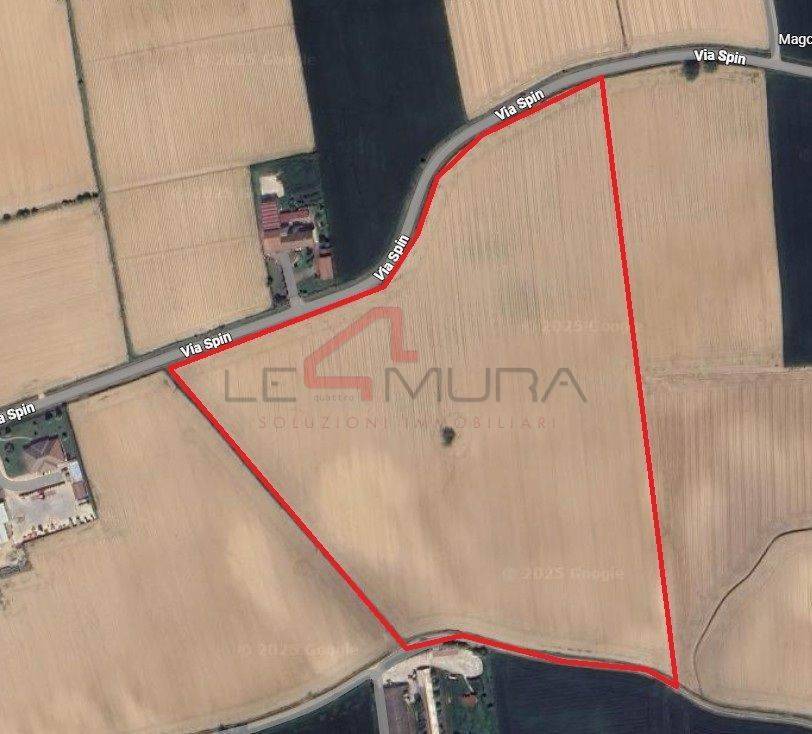 immagine annuncio 1 di 2