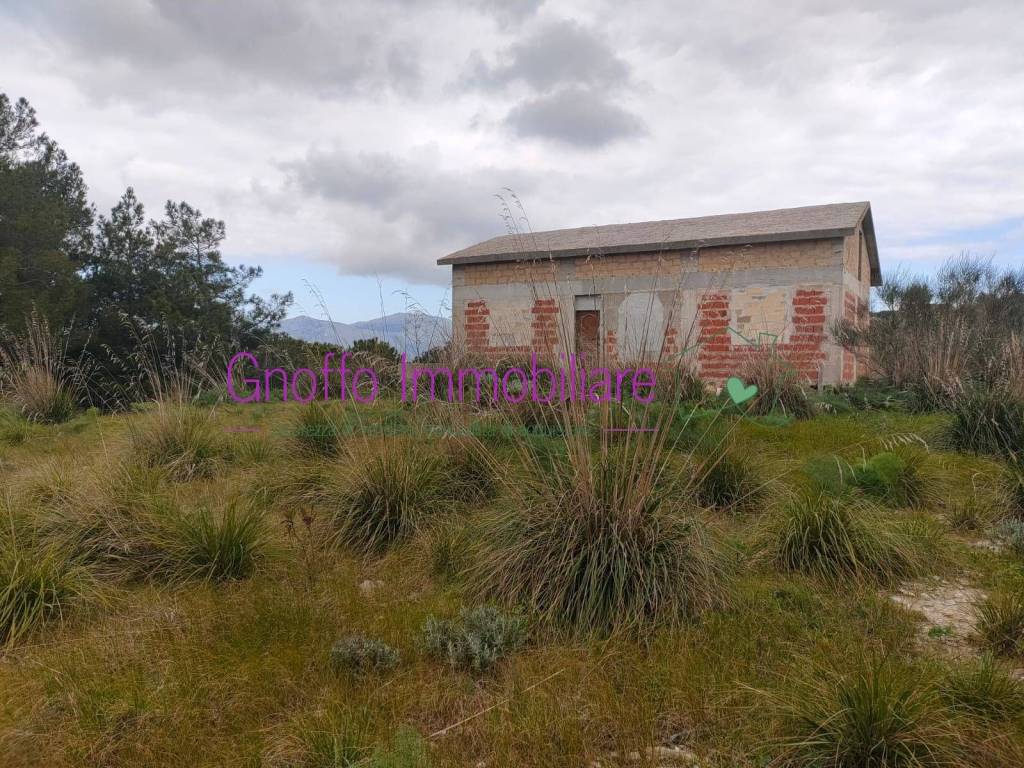 immagine annuncio 11 di 12