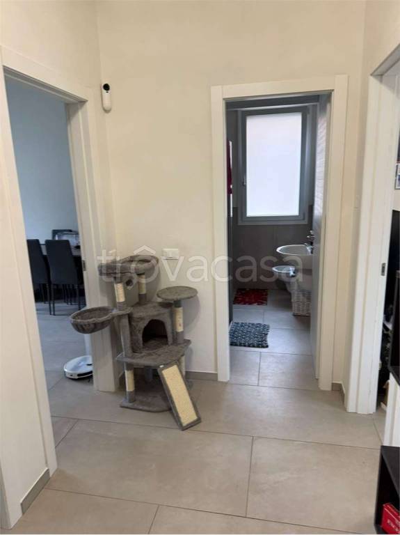 immagine annuncio 6 di 13