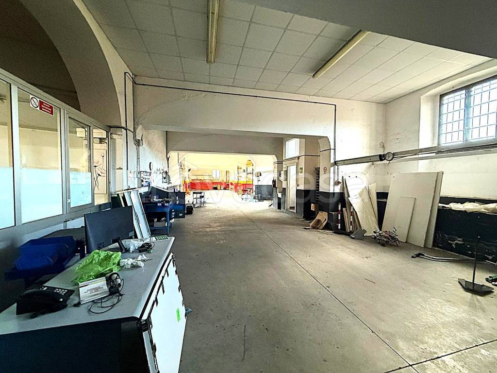 immagine annuncio 10 di 15