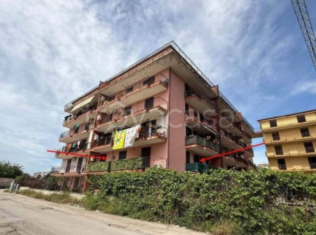 immagine annuncio 5 di 11