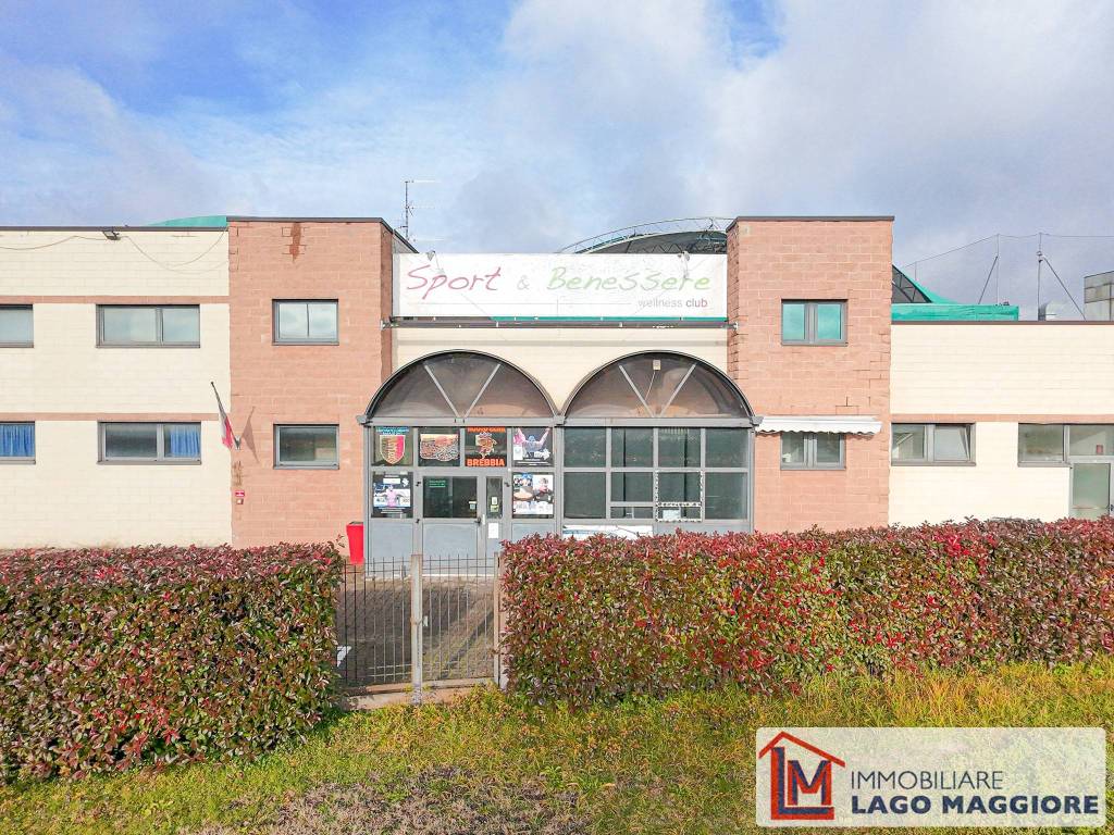 immagine annuncio 12 di 15