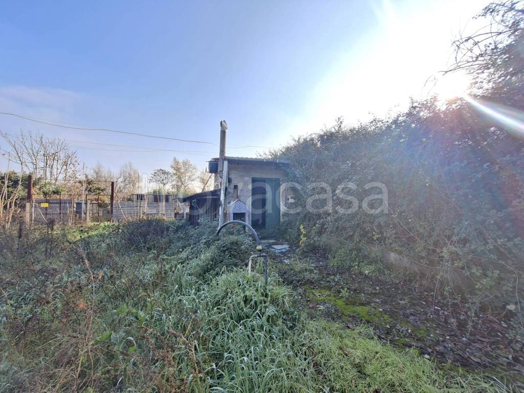 immagine annuncio 6 di 15