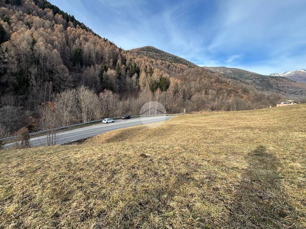 immagine annuncio 1 di 11