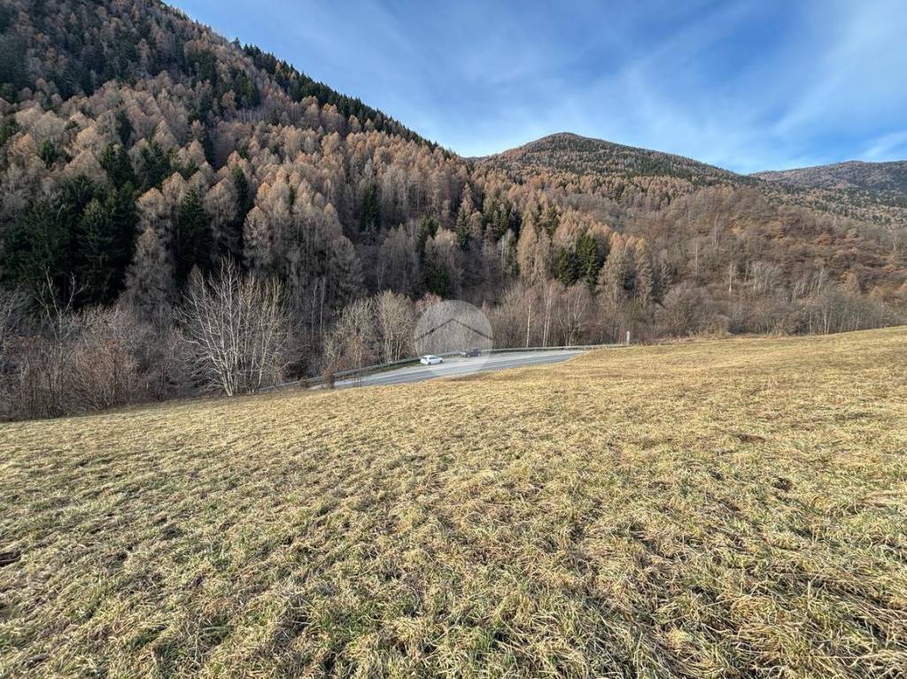 immagine annuncio 4 di 11