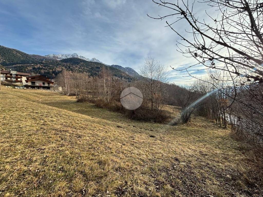 immagine annuncio 7 di 11