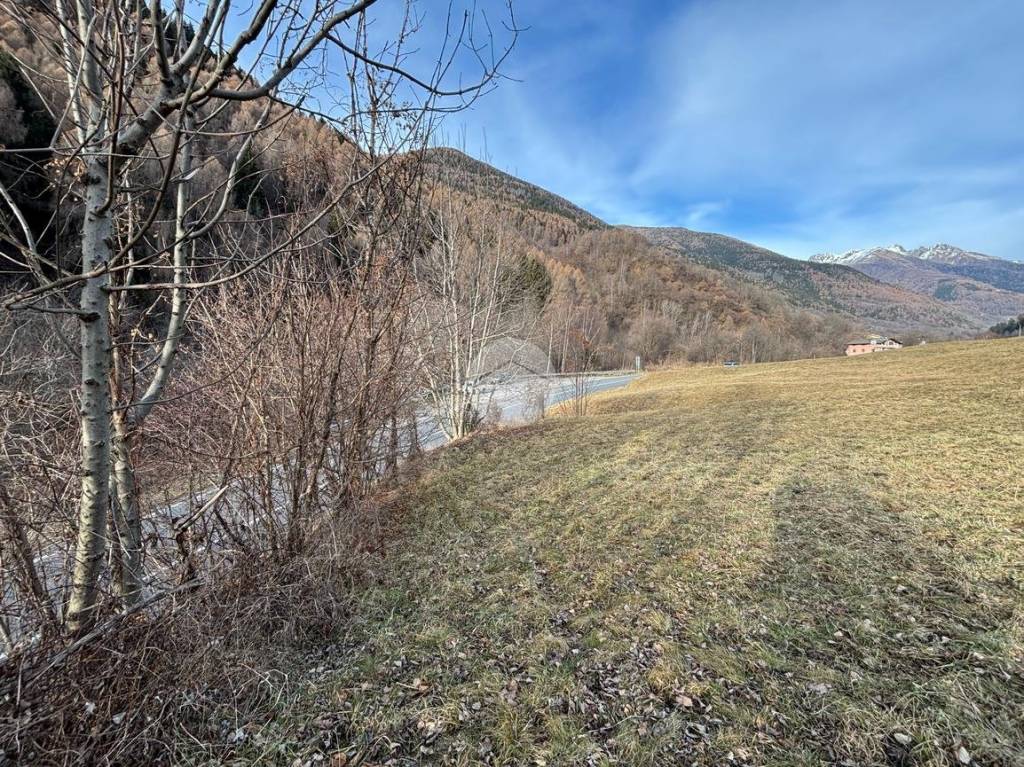 immagine annuncio 9 di 11