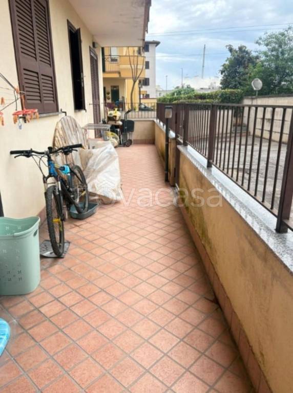 immagine annuncio 6 di 11