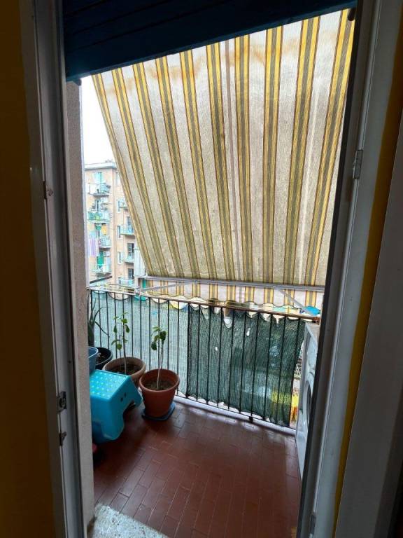 immagine annuncio 9 di 12