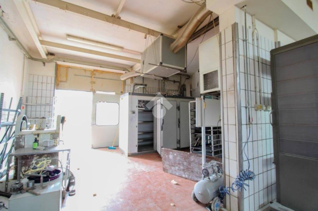 immagine annuncio 3 di 13