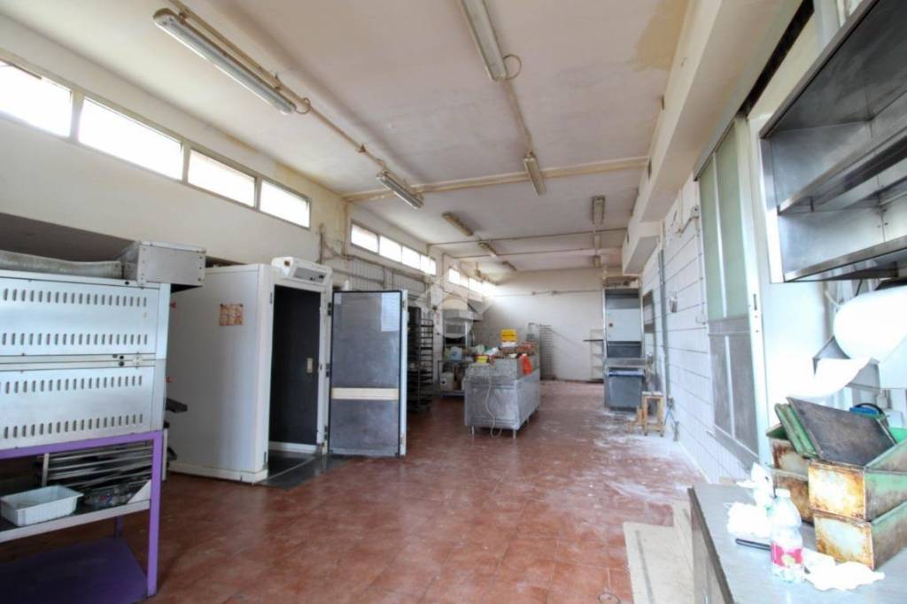 immagine annuncio 7 di 13