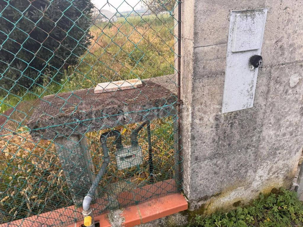 immagine annuncio 2 di 8