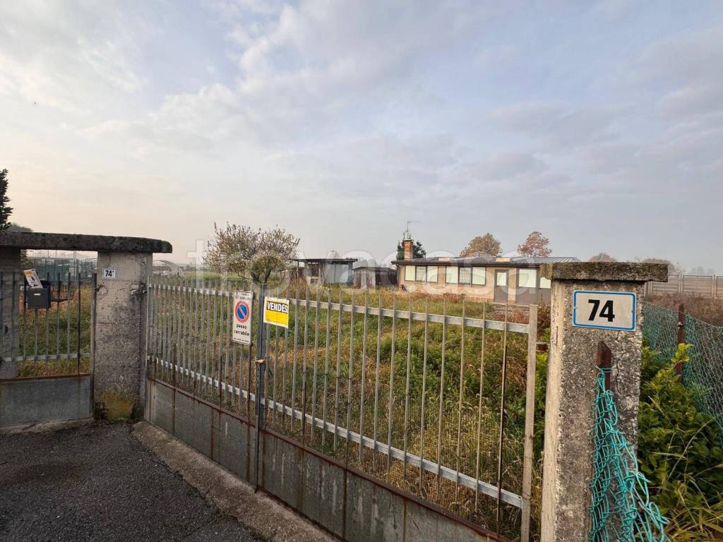 immagine annuncio 4 di 8