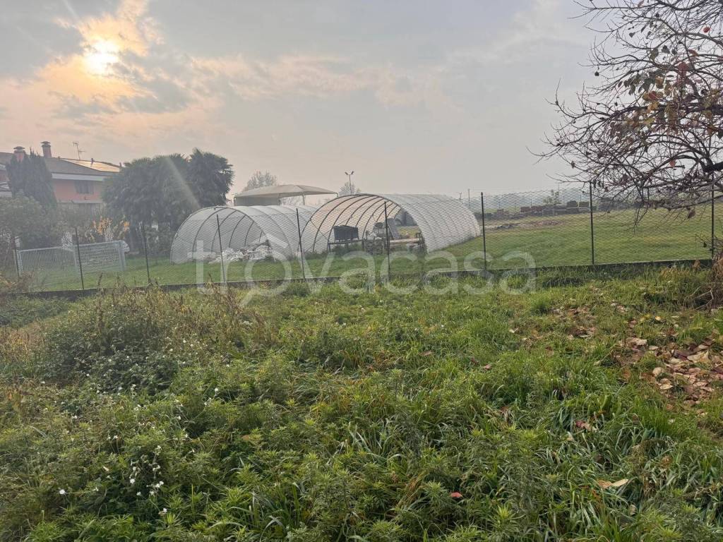 immagine annuncio 6 di 8