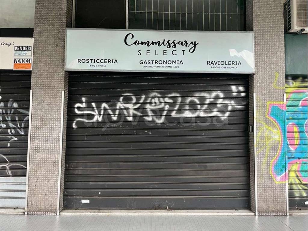 immagine annuncio 2 di 13