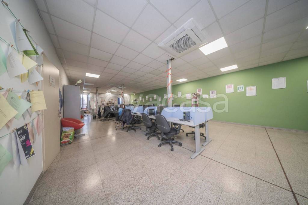 immagine annuncio 12 di 15