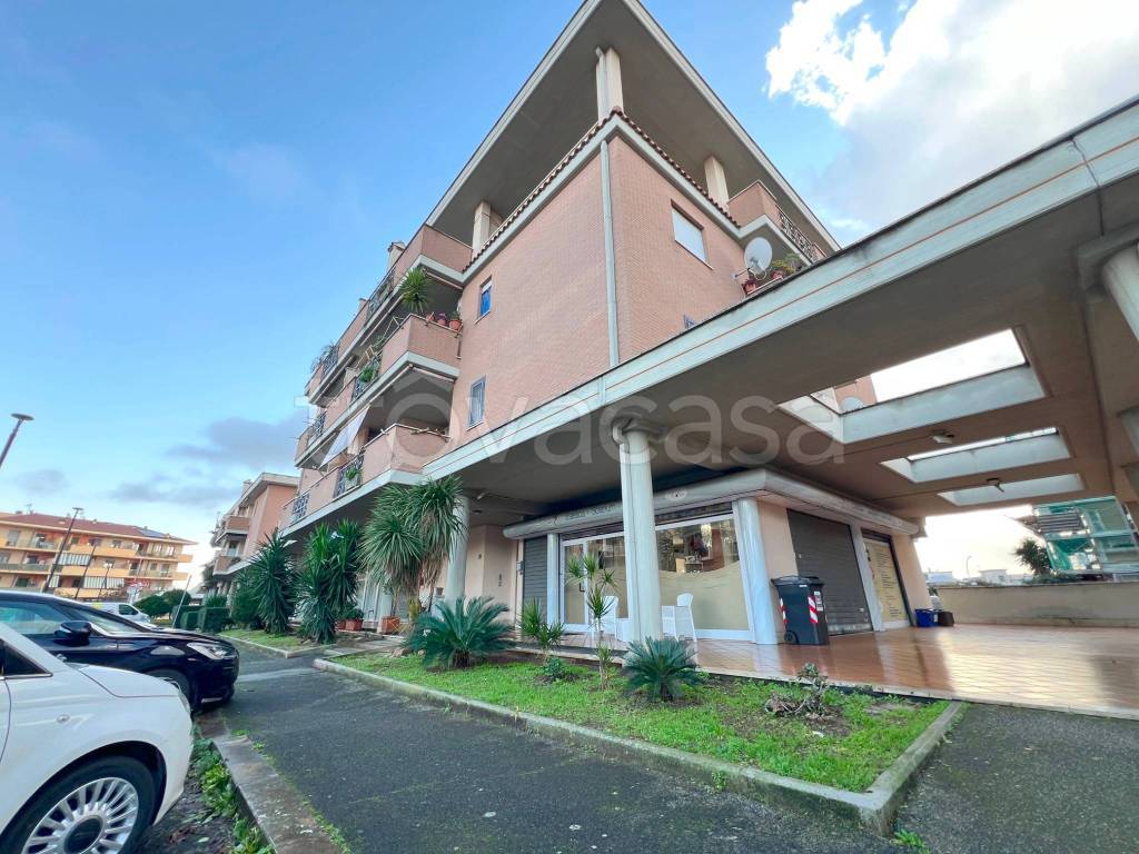 immagine annuncio 9 di 15