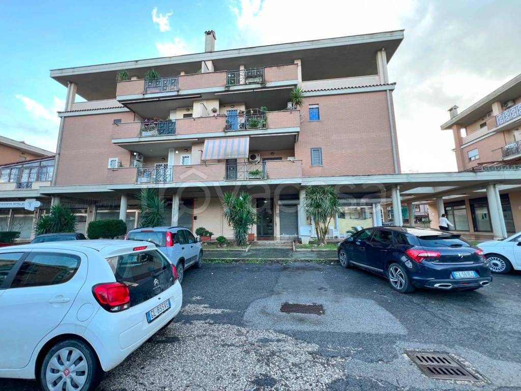 immagine annuncio 7 di 15