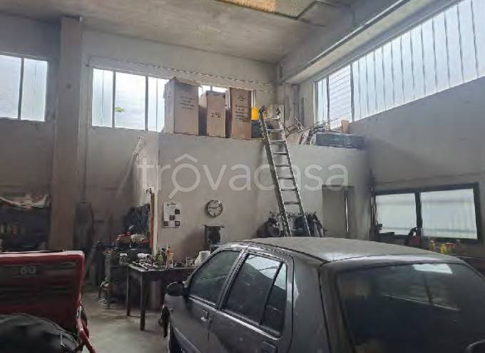 immagine annuncio 2 di 14