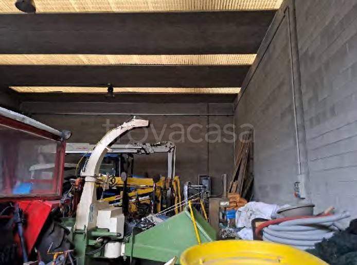 immagine annuncio 4 di 14