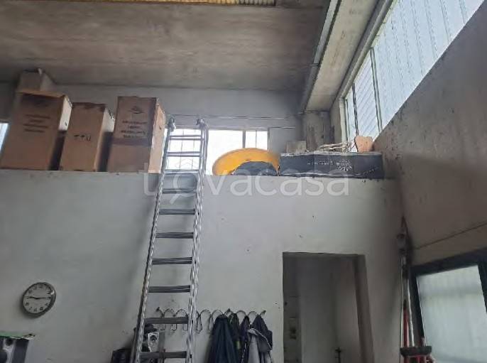 immagine annuncio 6 di 14