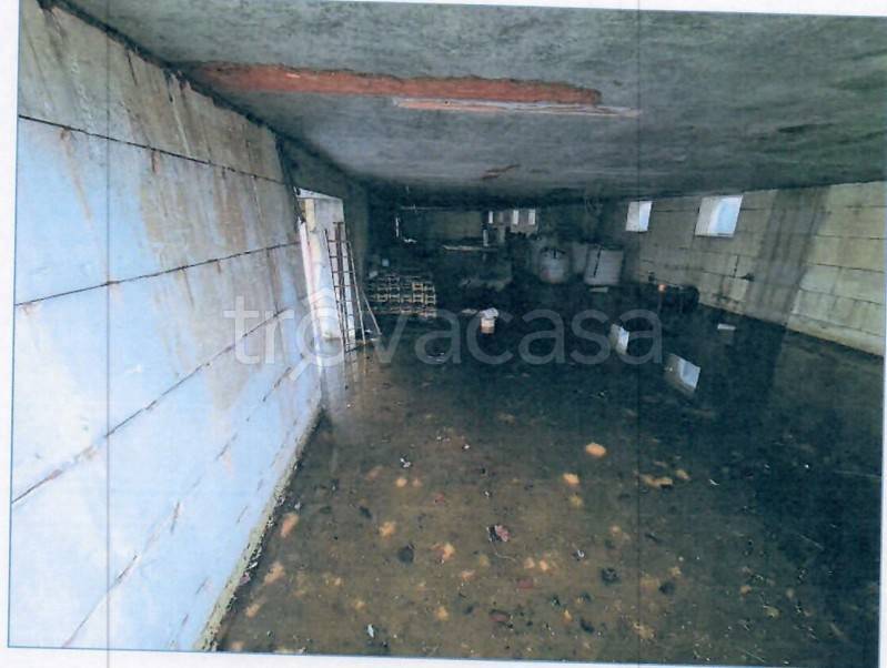 immagine annuncio 3 di 8