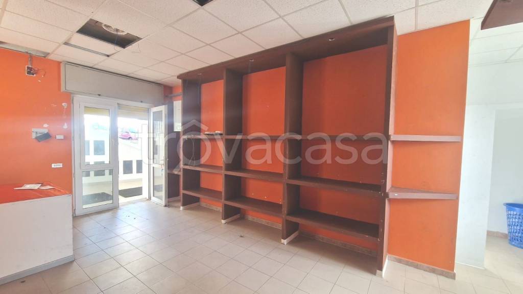 immagine annuncio 4 di 9