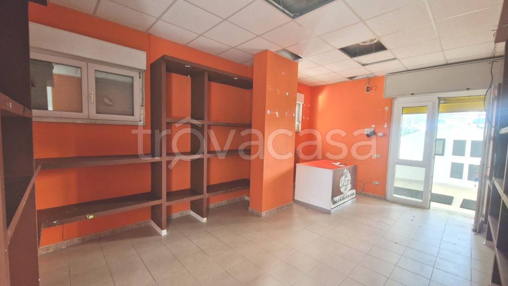 immagine annuncio 5 di 9