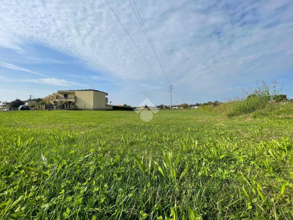 immagine annuncio 10 di 11