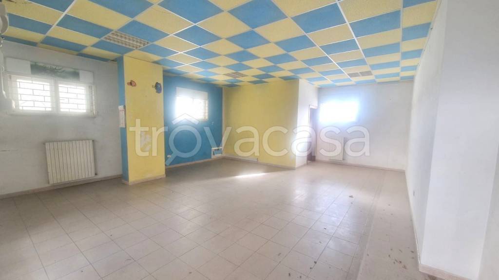 immagine annuncio 3 di 7