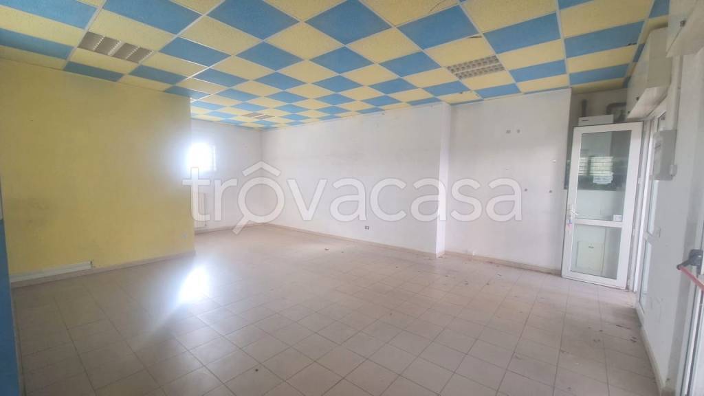 immagine annuncio 4 di 7