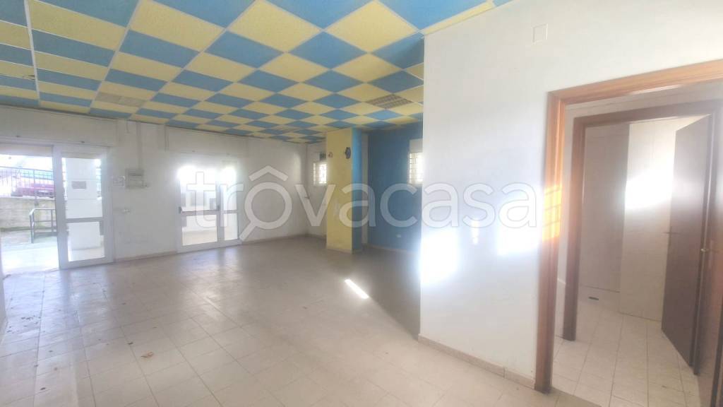 immagine annuncio 5 di 7