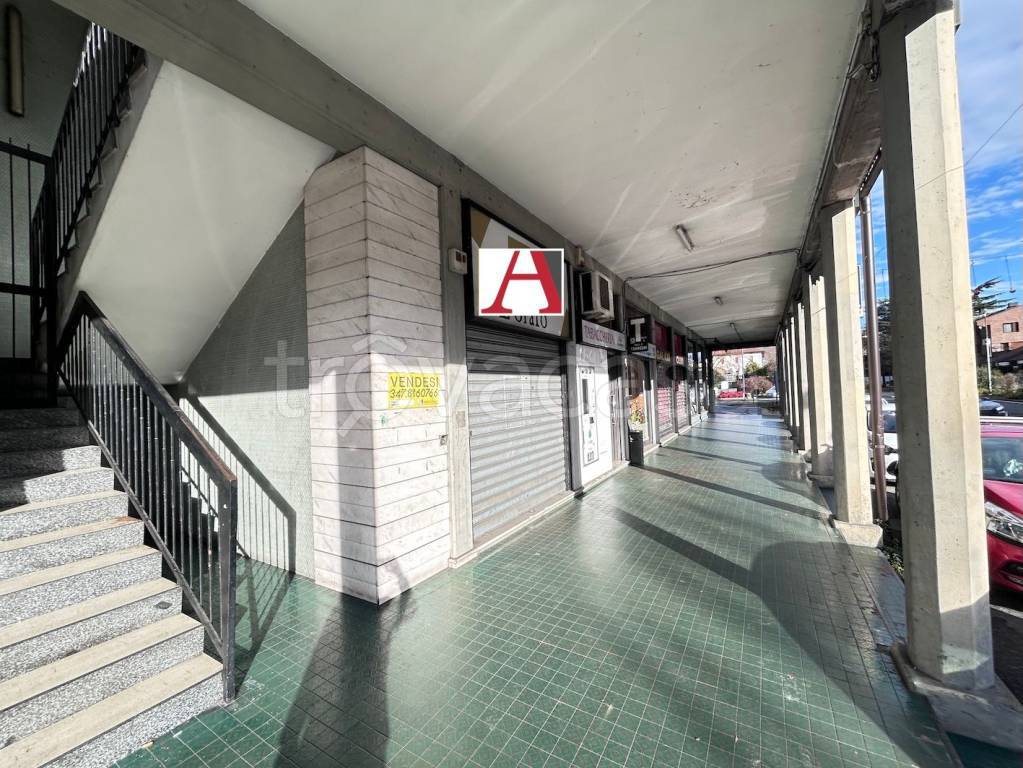 immagine annuncio 4 di 6