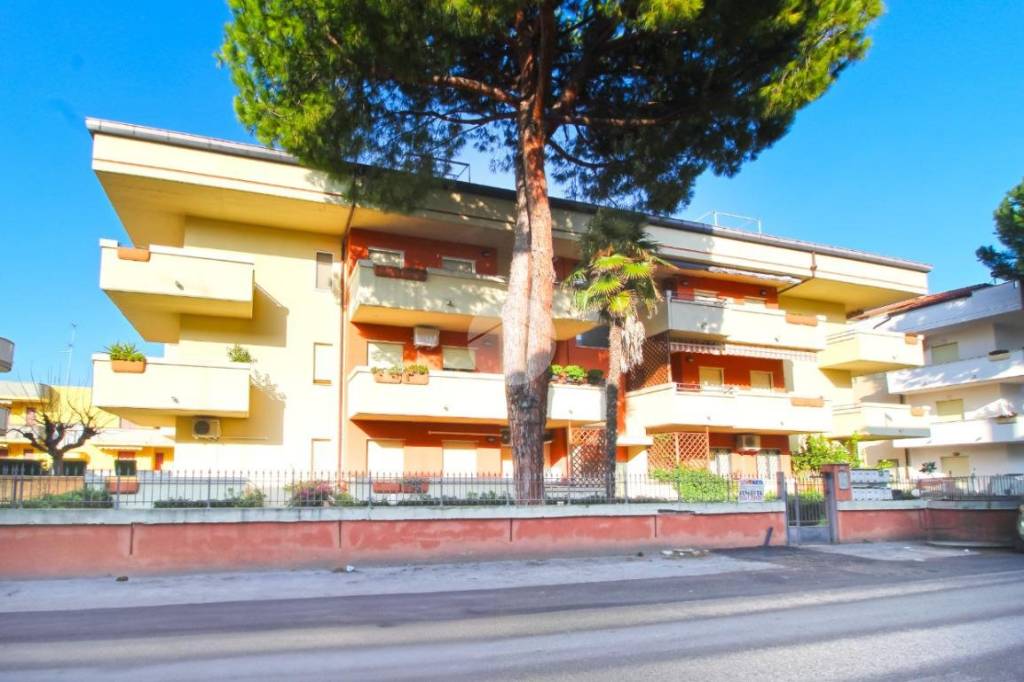 immagine annuncio 12 di 13