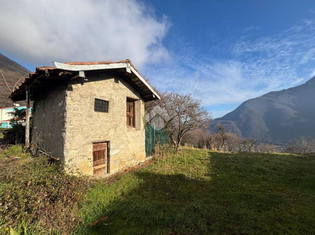 immagine annuncio 8 di 12