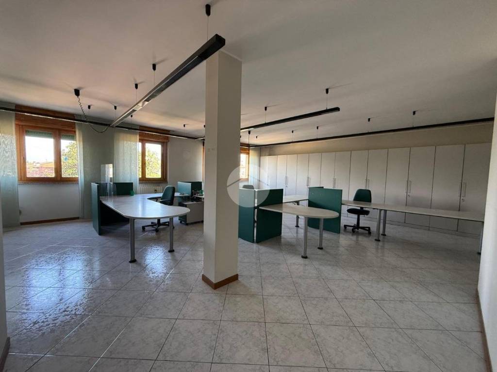 immagine annuncio 9 di 14