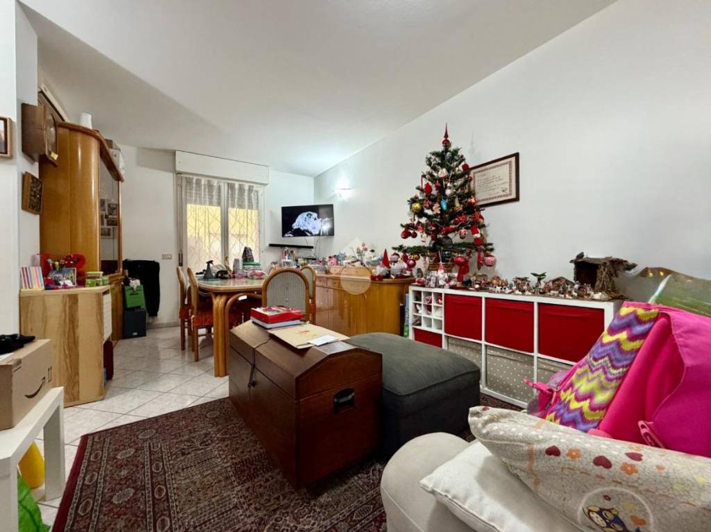 immagine annuncio 6 di 11