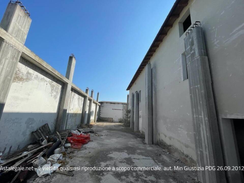 immagine annuncio 6 di 15