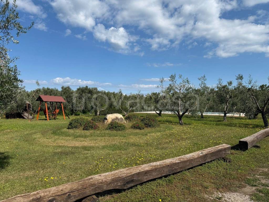 immagine annuncio 6 di 15