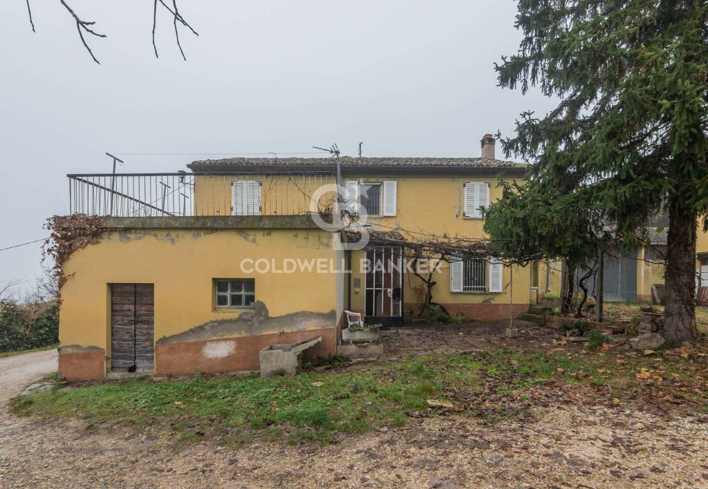 immagine annuncio 3 di 6