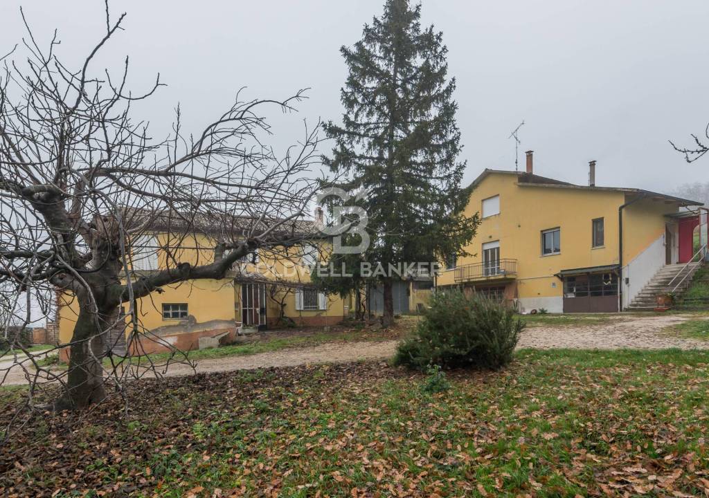 immagine annuncio 5 di 8