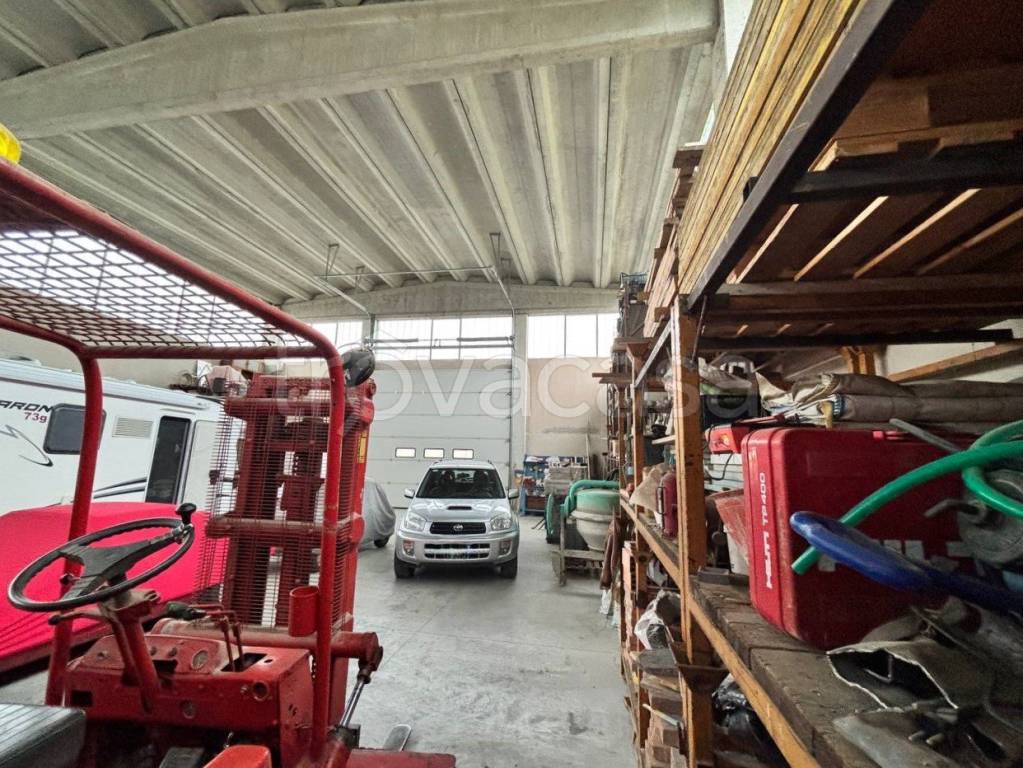 immagine annuncio 12 di 15